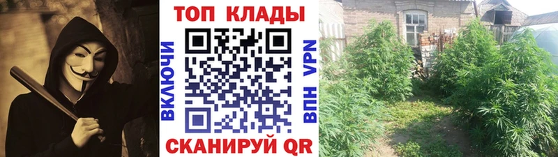 Купить закладку Амфетамин  Кокаин  МЕФ  Гашиш  A PVP  Осинники