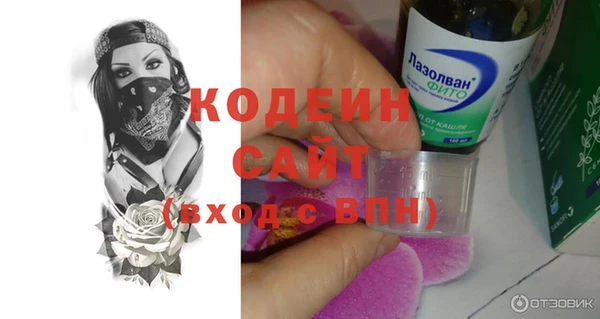 прущий лед Ельня