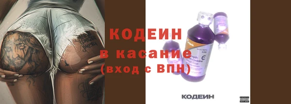 МДПВ Елизово