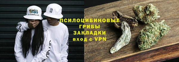 тгк Елабуга