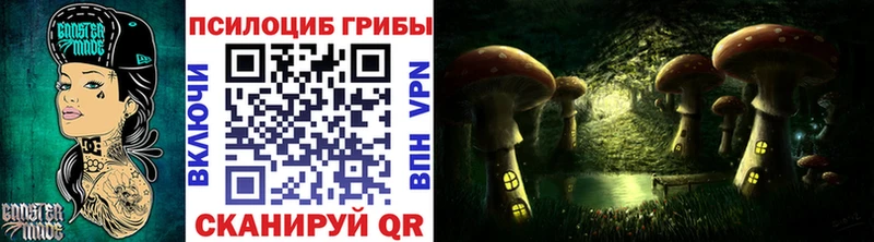 Купить закладки  Осинники  Псилоцибиновые грибы Cubensis 
